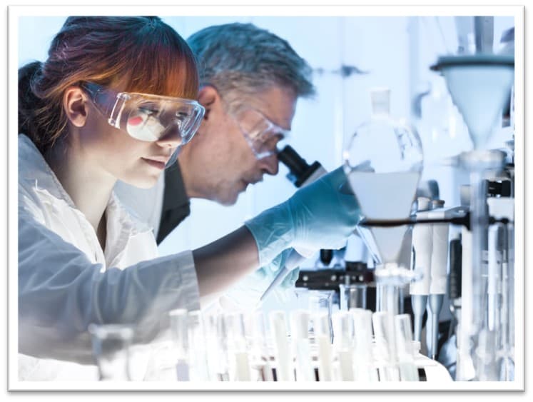 Scientists working together in a laboratory